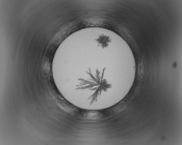 X0000114580173200911301343