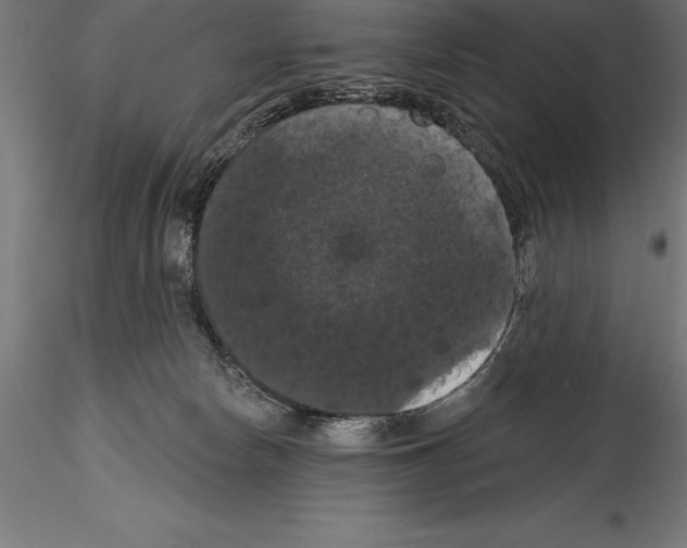 X0000114580178200911301343