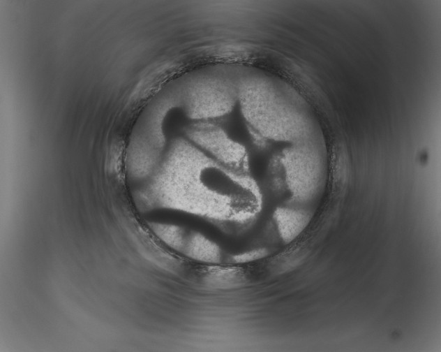 X0000114580185200911301343