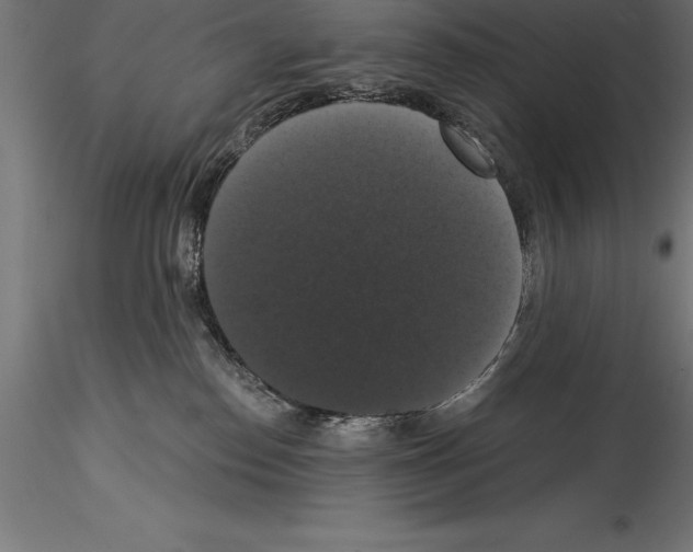 X0000114580186200911301343