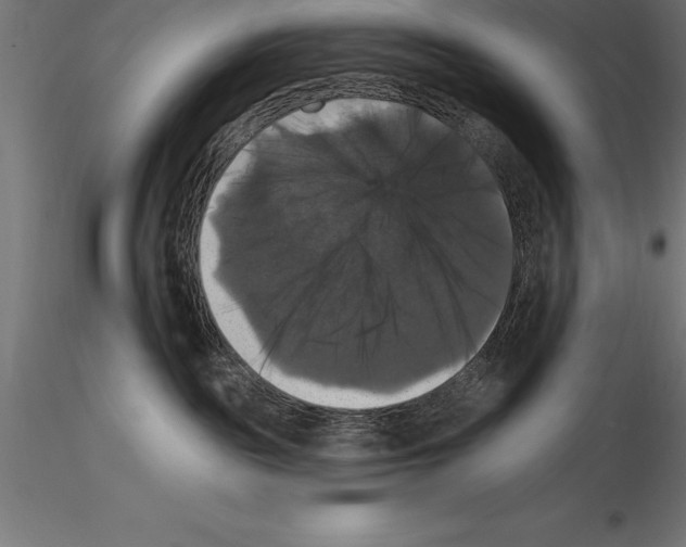 X0000114580189200911301344