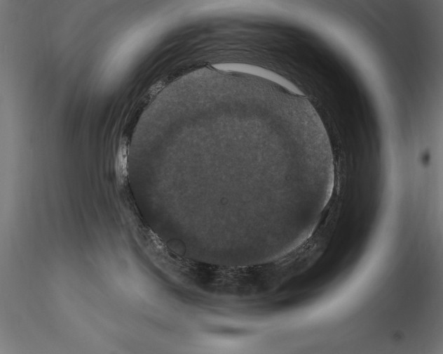 X0000114580190200911301344