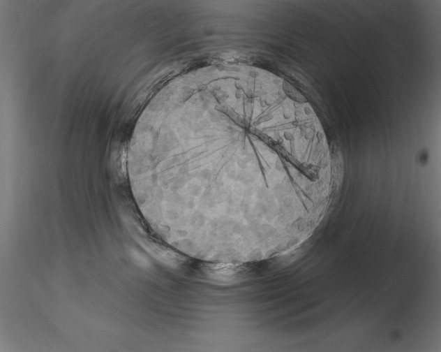 X0000114580191200911301344