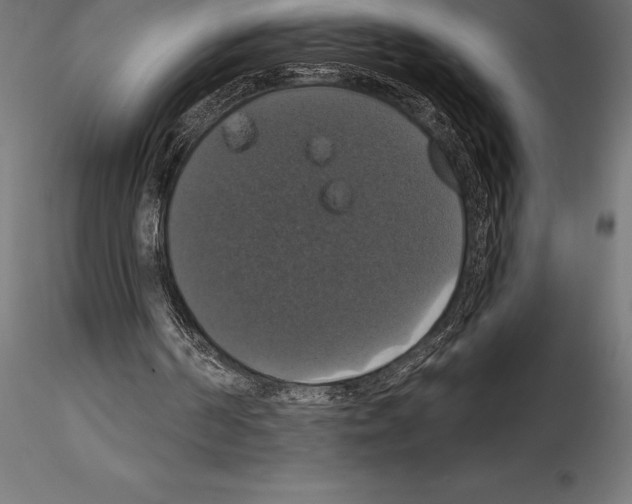 X0000114580194200911301343