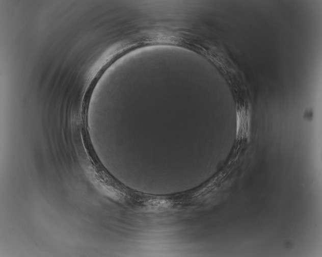 X0000114580195200911301343