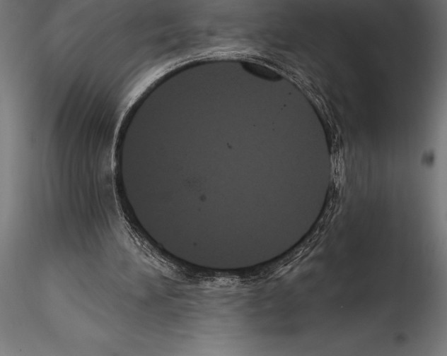 X0000114580196200911301343