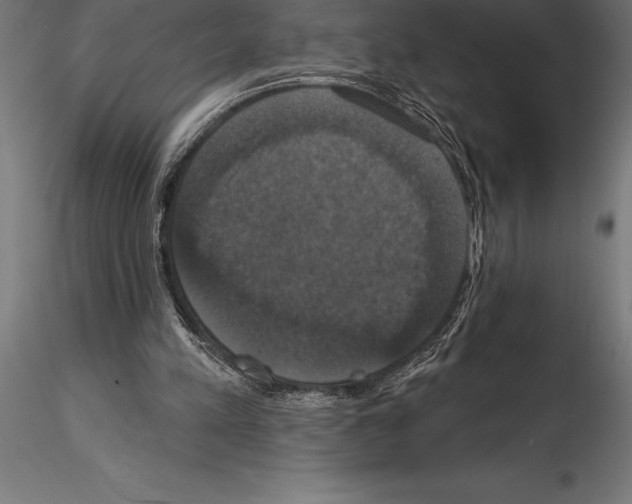 X0000114580197200911301343