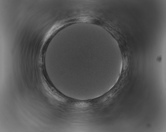 X0000114580198200911301343