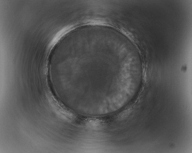 X0000114580199200911301343