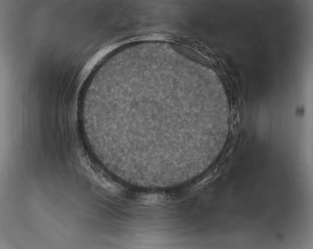 X0000114580200200911301343