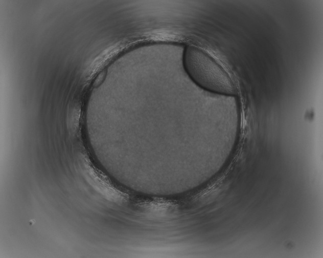 X0000114580201200911301343