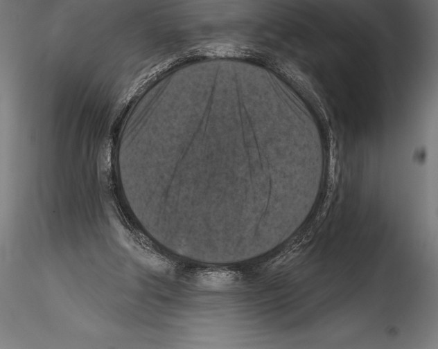 X0000114580202200911301343