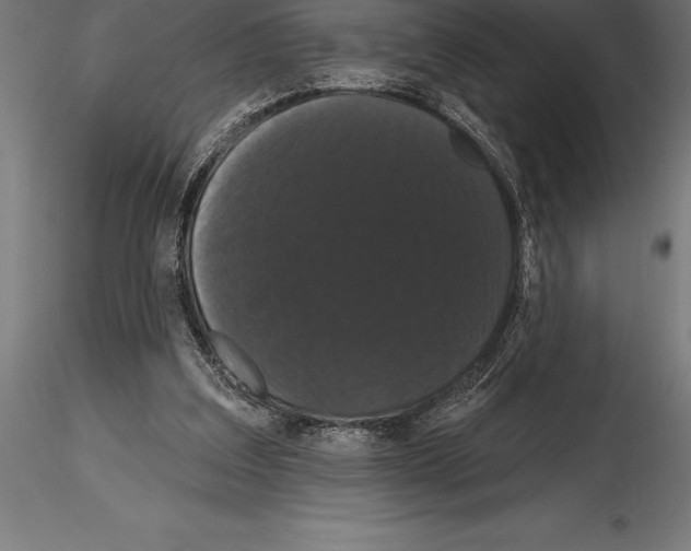 X0000114580203200911301343