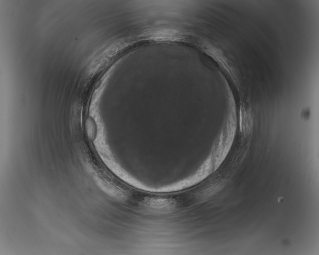 X0000114580205200911301343