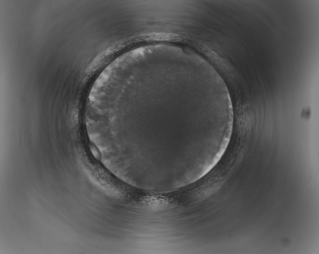 X0000114580207200911301343