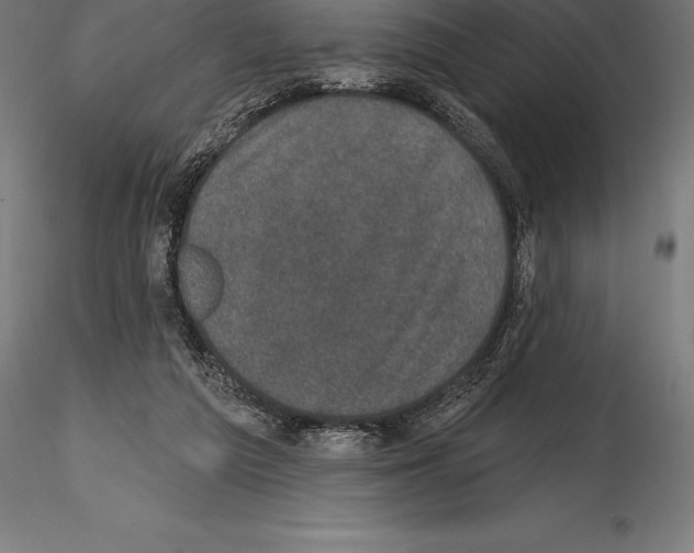 X0000114580209200911301343