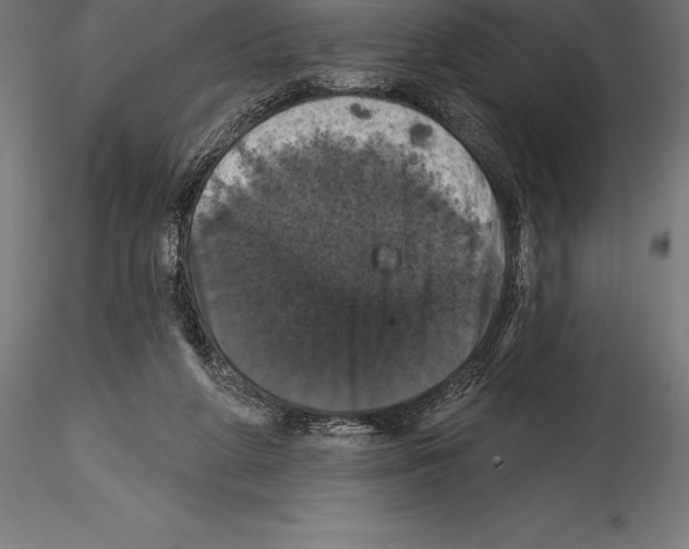 X0000114580210200911301343