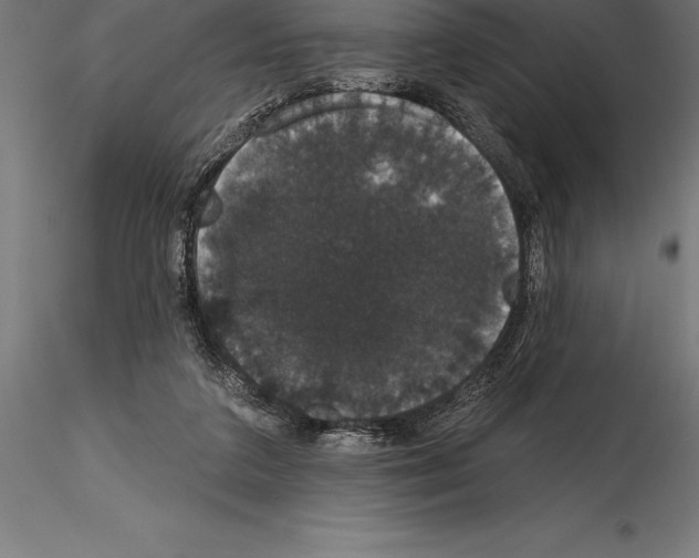 X0000114580211200911301343