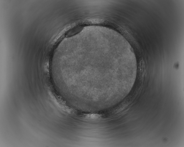 X0000114580212200911301343