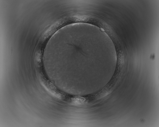 X0000114580215200911301343