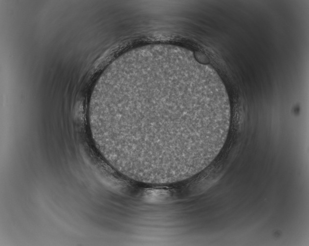 X0000114580220200911301343