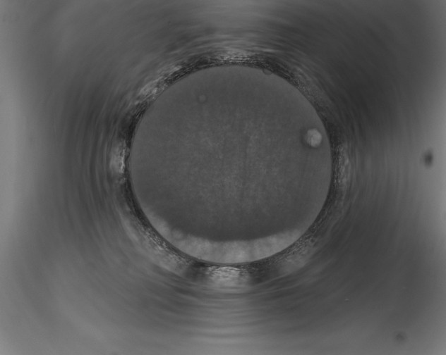 X0000114580230200911301342