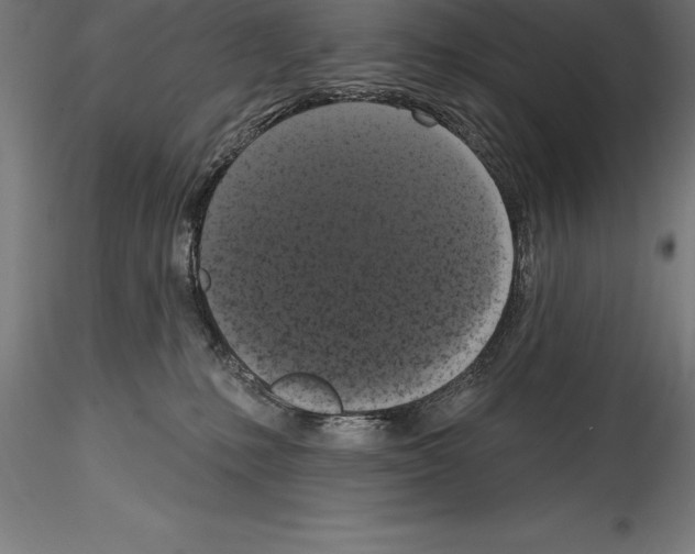 X0000114580231200911301342