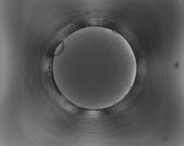 X0000114580233200911301342