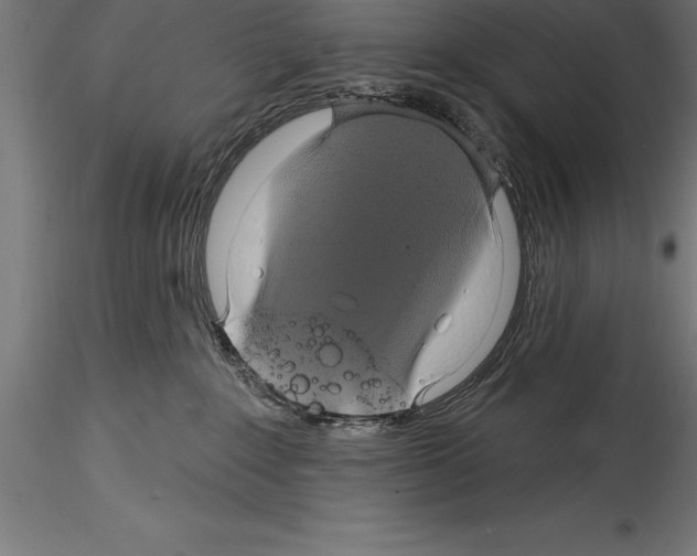 X0000114580235200911301342