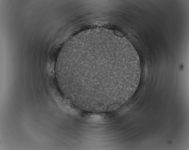 X0000114580236200911301342