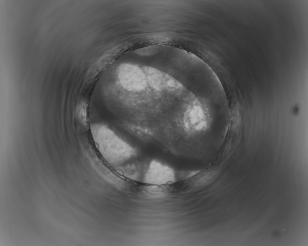 X0000114580238200911301342