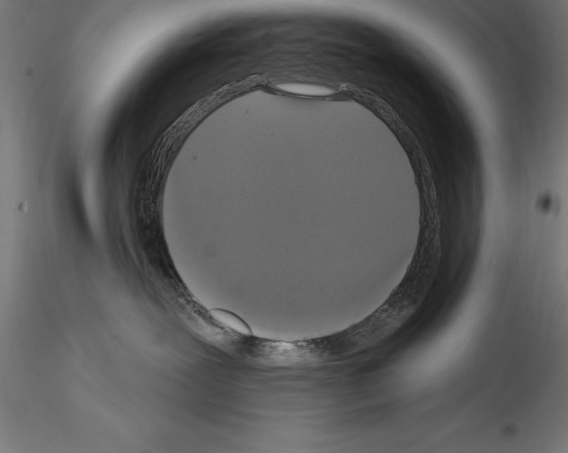 X0000114580239200911301342