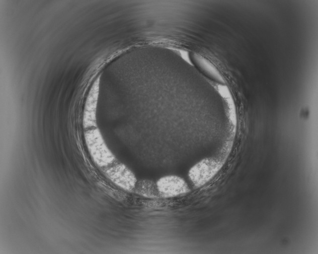 X0000114580241200911301342