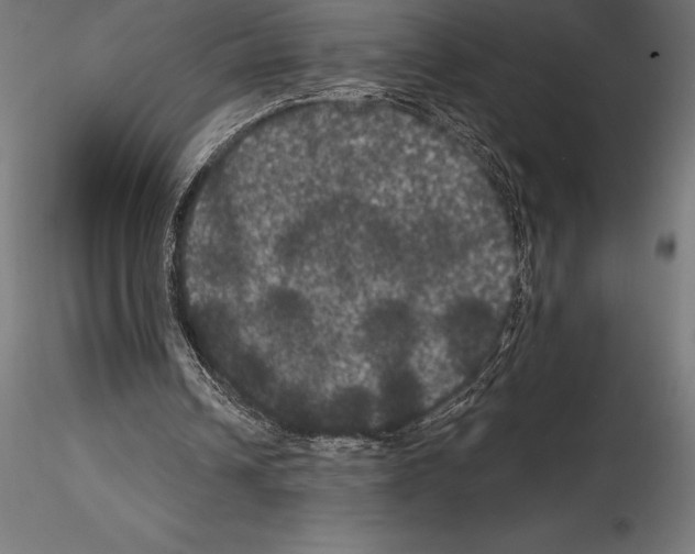 X0000114580242200911301342