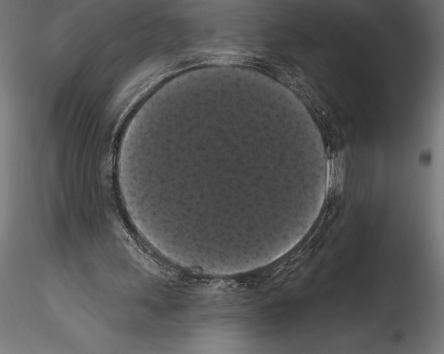 X0000114580243200911301342