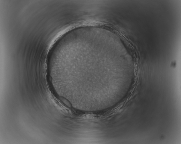 X0000114580244200911301342