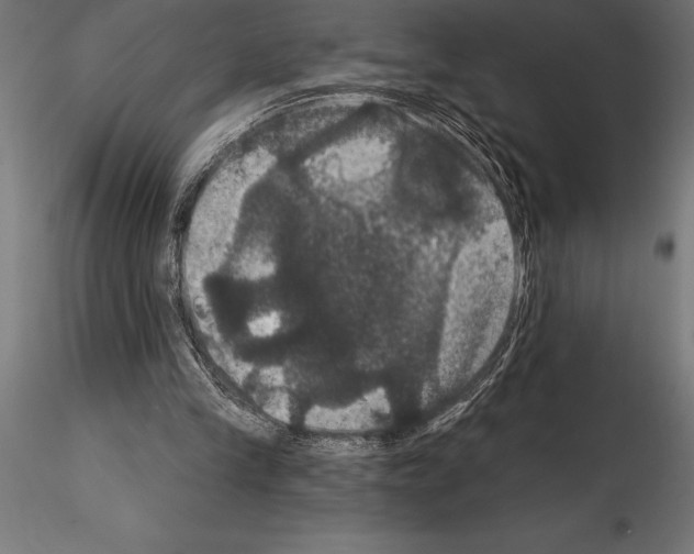 X0000114580245200911301342