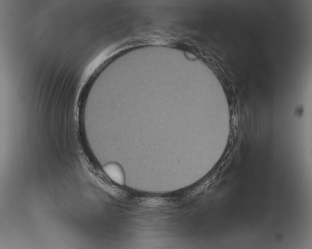 X0000114580246200911301342