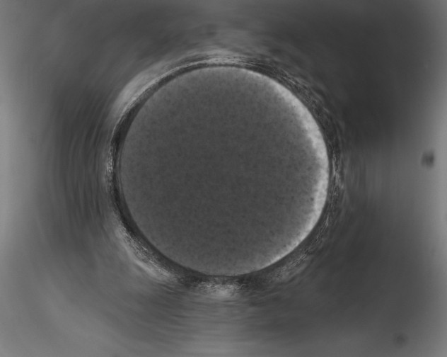 X0000114580247200911301342