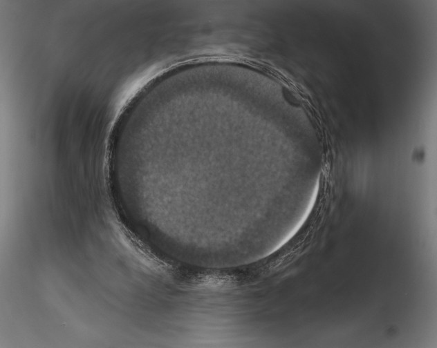 X0000114580248200911301342