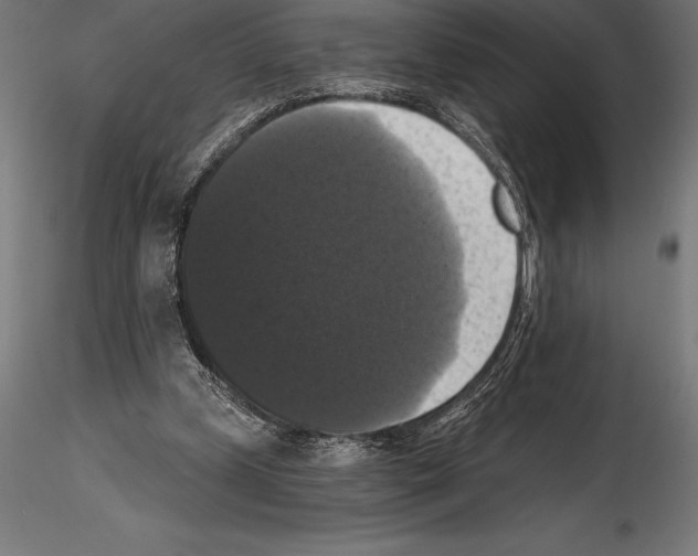 X0000114580249200911301342