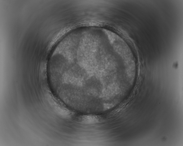 X0000114580250200911301342