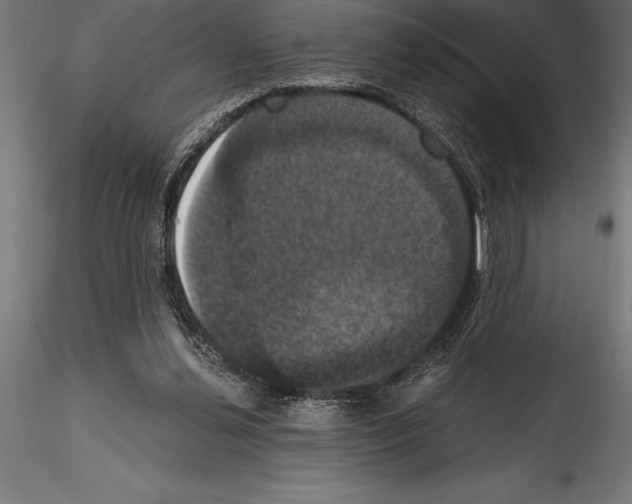 X0000114580252200911301342