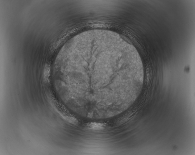 X0000114580255200911301342