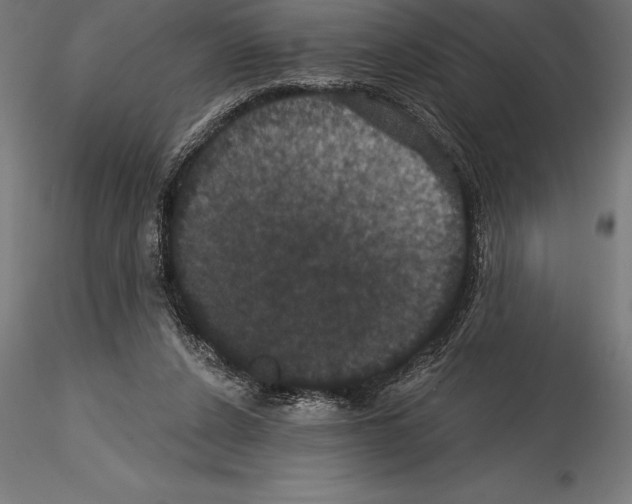 X0000114580256200911301342