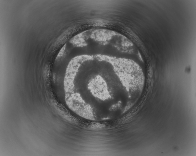 X0000114580257200911301342