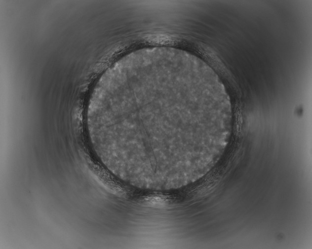 X0000114580259200911301342