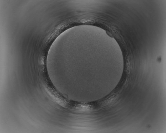 X0000114580260200911301342