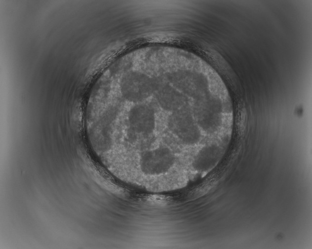 X0000114580261200911301342