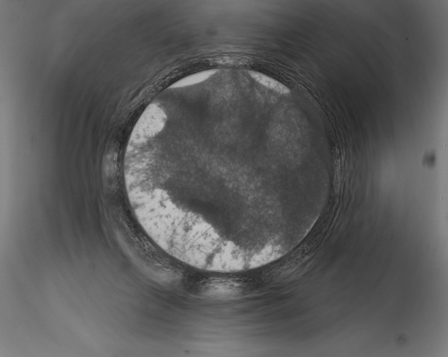 X0000114580263200911301342